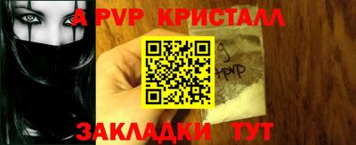 гашик Новозыбков
