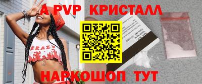 гашик Новозыбков