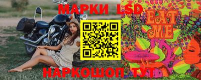 гашик Новозыбков
