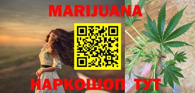 гашик Новозыбков