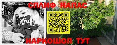 гашик Новозыбков