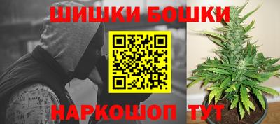 гашик Новозыбков