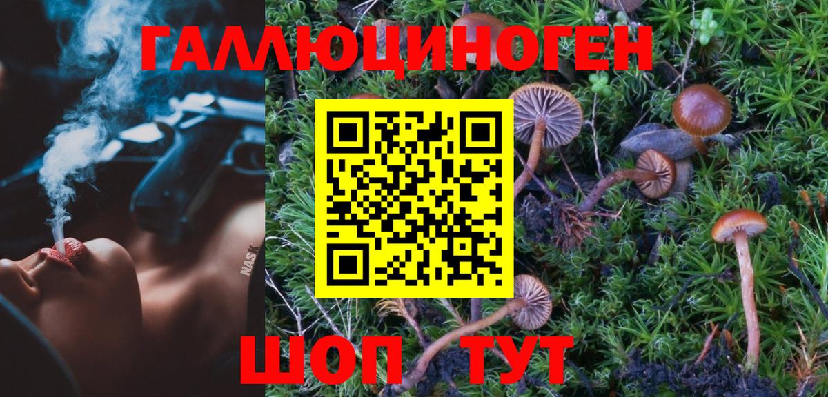 Сергиев Посад  Псилоцибиновые грибы прущие грибы  Вход с VPN 