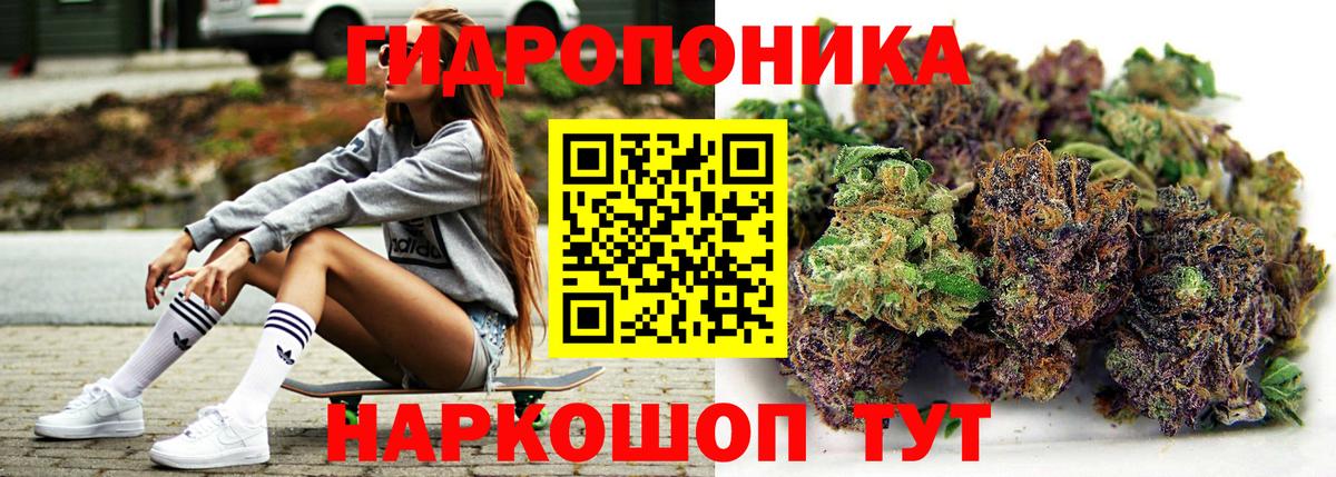 Канабис сатива  Бошки марихуана индика  МАРИХУАНА гибрид  Вход с VPN  Сергиев Посад 